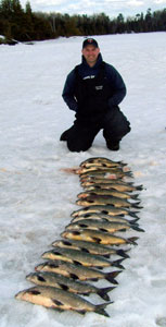 Whitefish